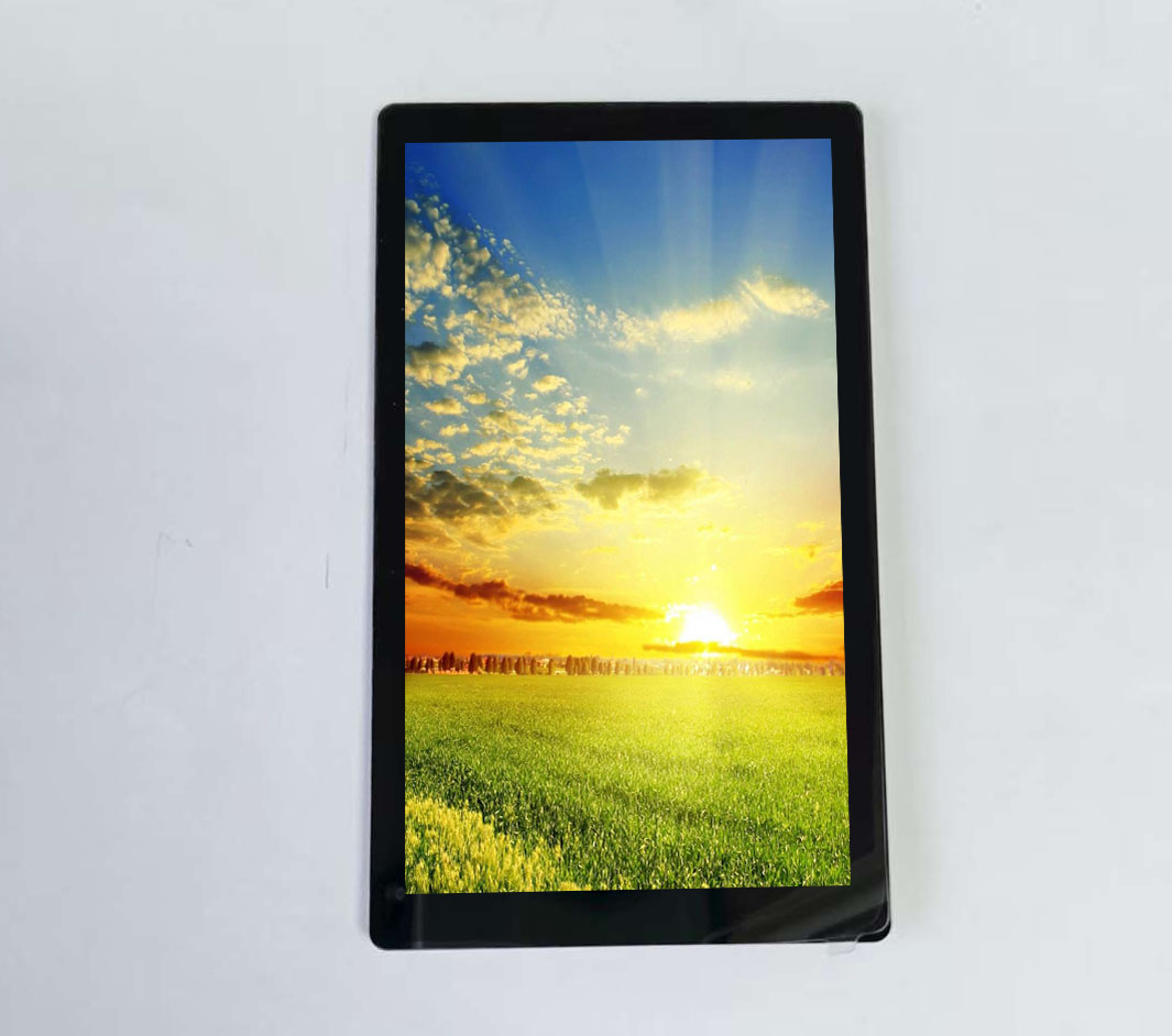 4.3-inch INCELL LCD with 480*800 resolution and touchscreen, ultra-thin and low-cost.