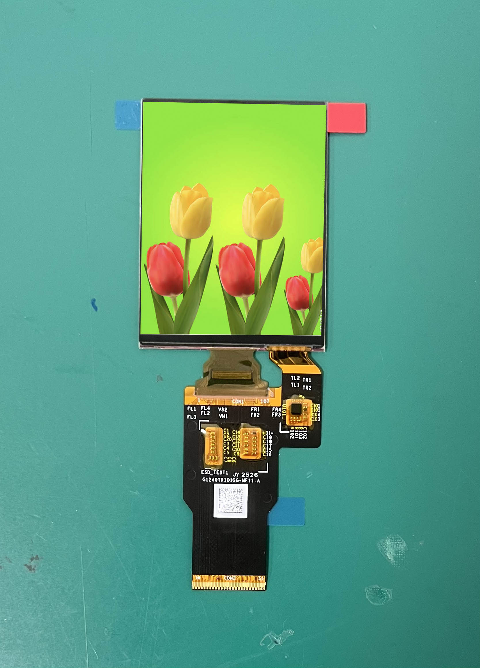 Differences Between 2.4-inch AMOLED and TFT Displays Regarding Power Consumption, Brightness, and Color Gamut