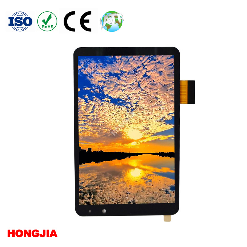 3.97 Inch IPS Lcd MIPI with Multi-touch Screen